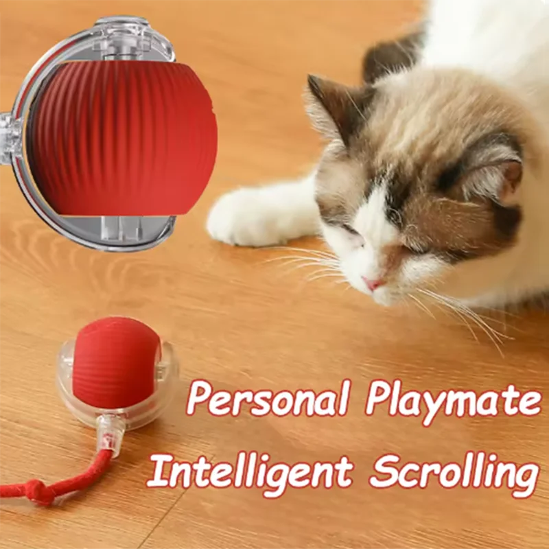 Los juguetes para gatos calientes son bolas para gatos que provocan automáticamente y palillos para gatos autoexcitantes y juguetes para mascotas resistentes al desgaste y a morderse