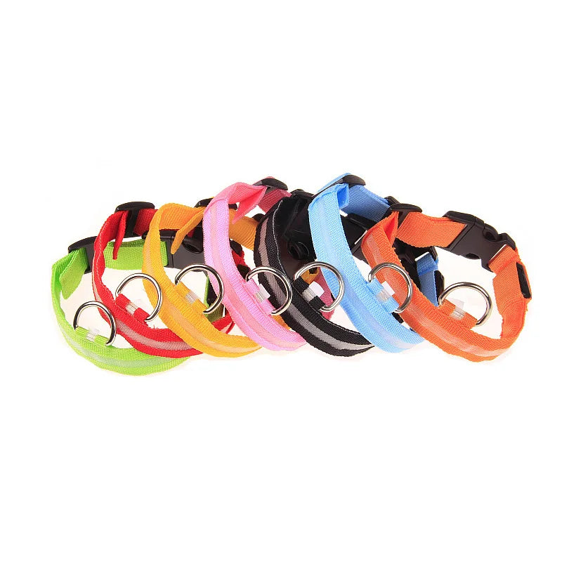 Correa LED para Perros con Luz Nocturna — Nailon Resistente