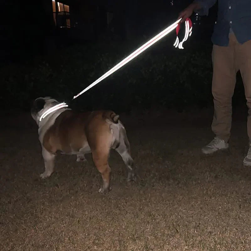 Correa Reflectiva con Arnés para Perros y Gatos 1,8 m