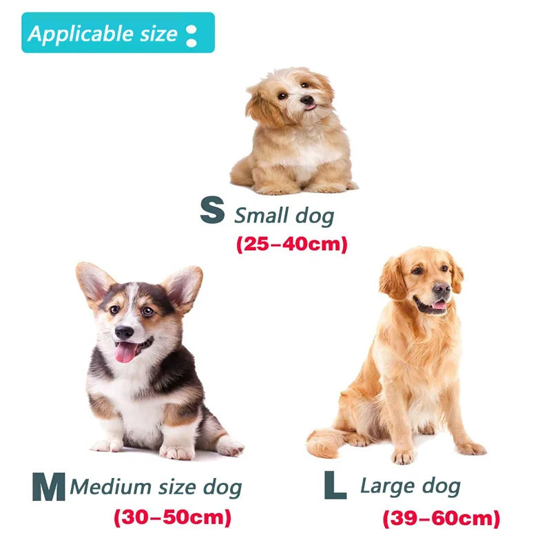Correa Reflectante para Perros y Gatos con Arnés