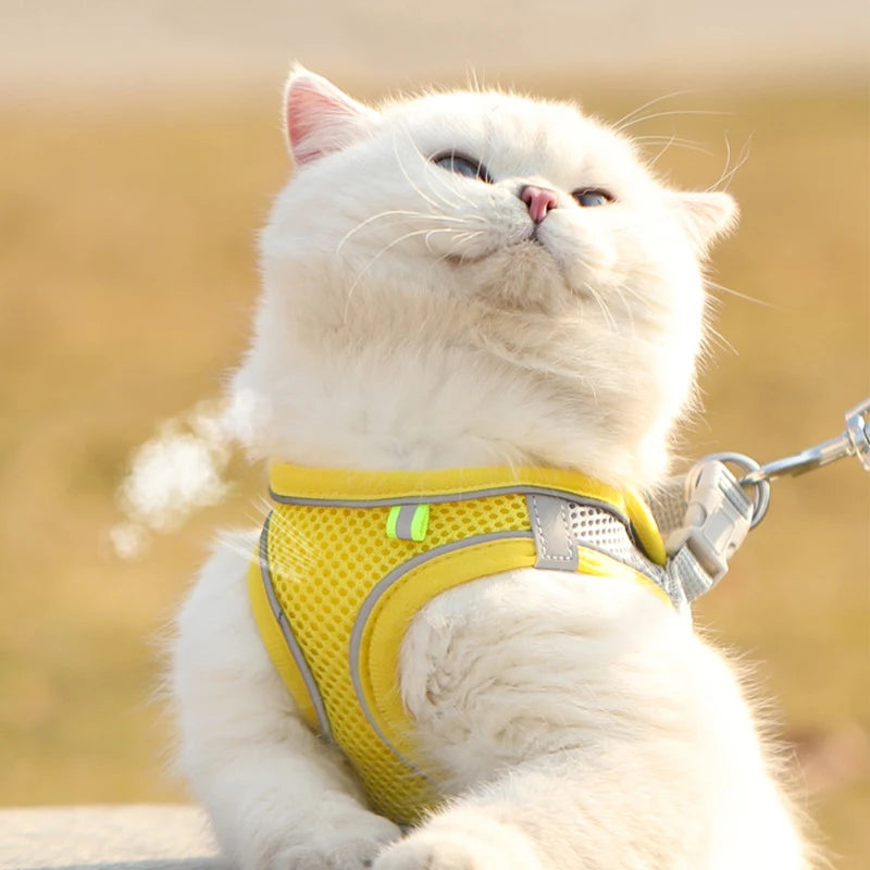 Arnés de Chaleco con Correa para Perros y Gatos - Malla Reflectante