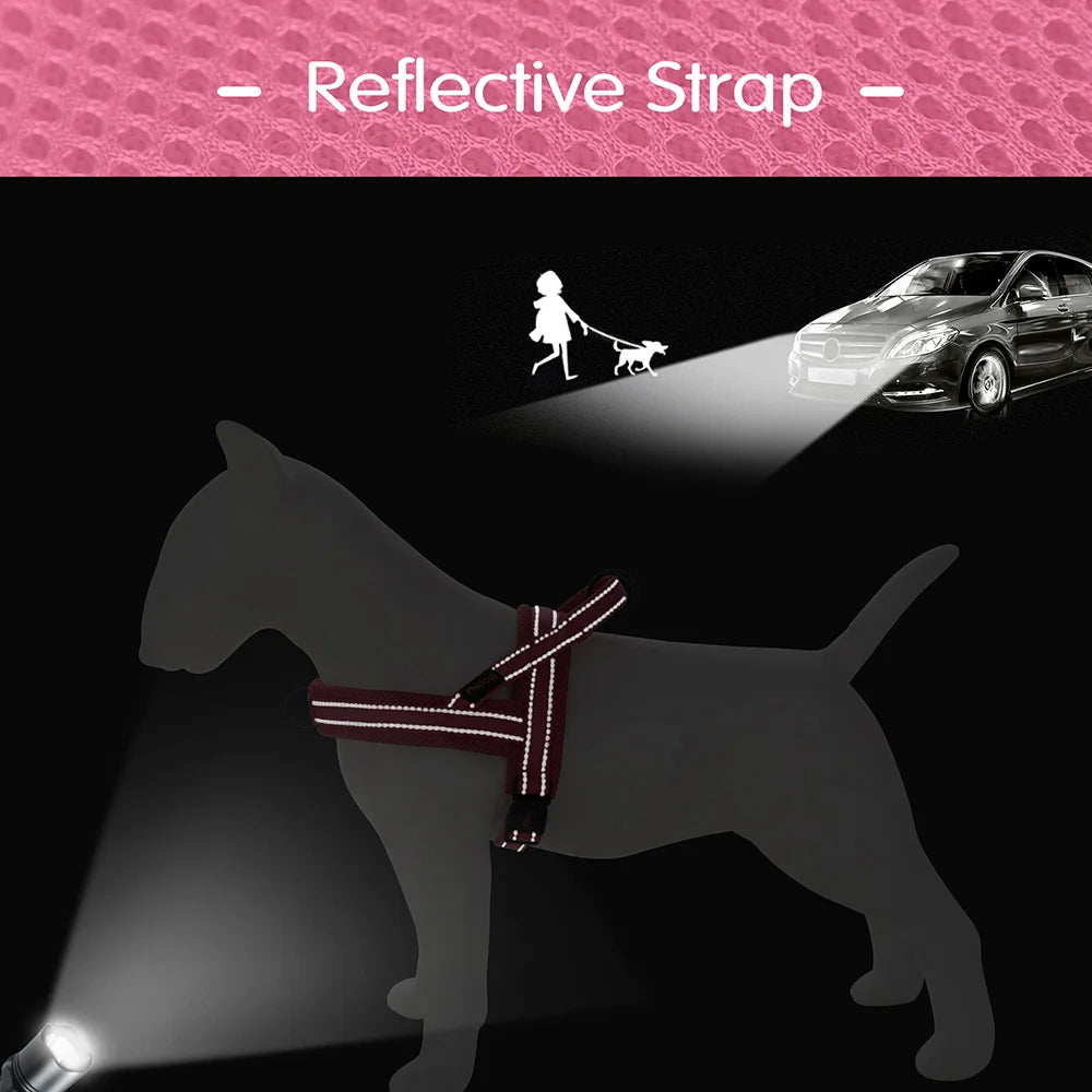 Chaleco Arnés Térmico para Perros – Acolchado y Ajustable