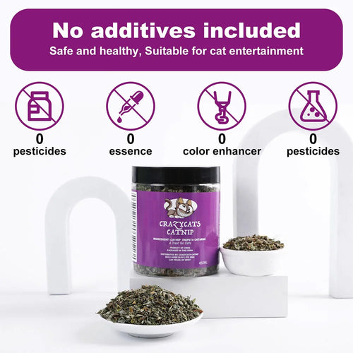 100% hierba gatera Natural y hierba gatera pura para su amigo peludo, juguete divertido para gatos, nuevo juguete interactivo para gatos, suministros para mascotas