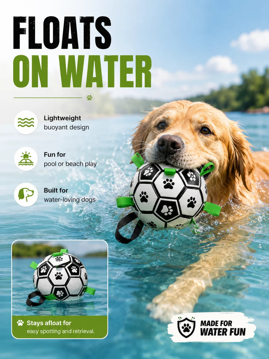 Pelota de Juguete para Perros y Gatos