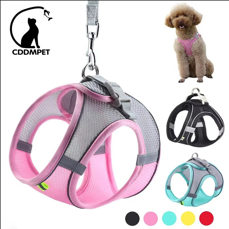 Arnés de Chaleco con Correa para Perros y Gatos - Malla Reflectante