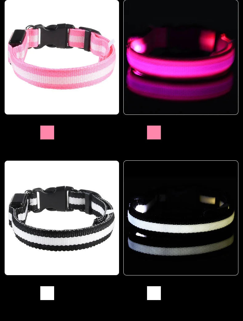 Correa LED para Perros con Luz Nocturna — Nailon Resistente