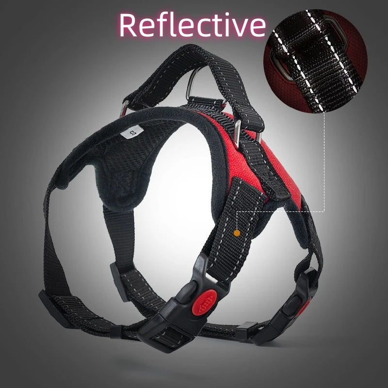 Arnés Chaleco para Perros — Reflectante, Nailon, Todas las Tallas