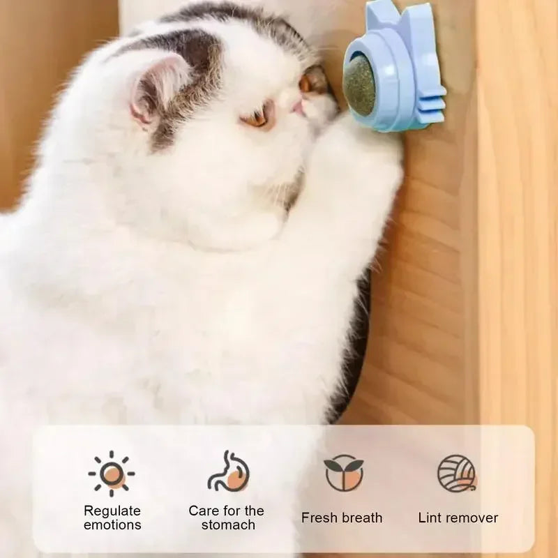 Juguetes de hierba gatera para gatos, bola giratoria interactiva de pared para interiores, menta Natural, mejora la digestión, estimulante del apetito, cuidado Dental para gatos