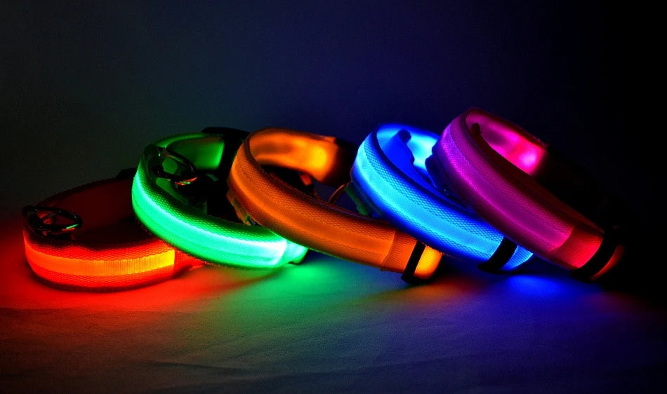 Correa LED para Perros con Luz Nocturna — Nailon Resistente