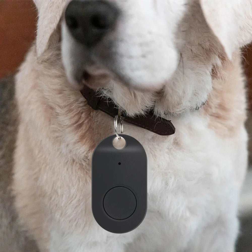 Dispositivo inteligente de seguimiento GPS portátil, localizador de llaves para perro, gato, BILLETERA, llavero, equipaje, 1 piezas