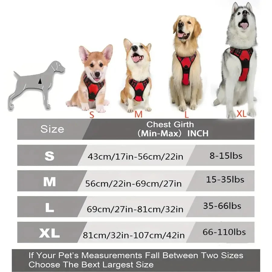Arnés Chaleco para Perros con Correa | Tallas S a XL