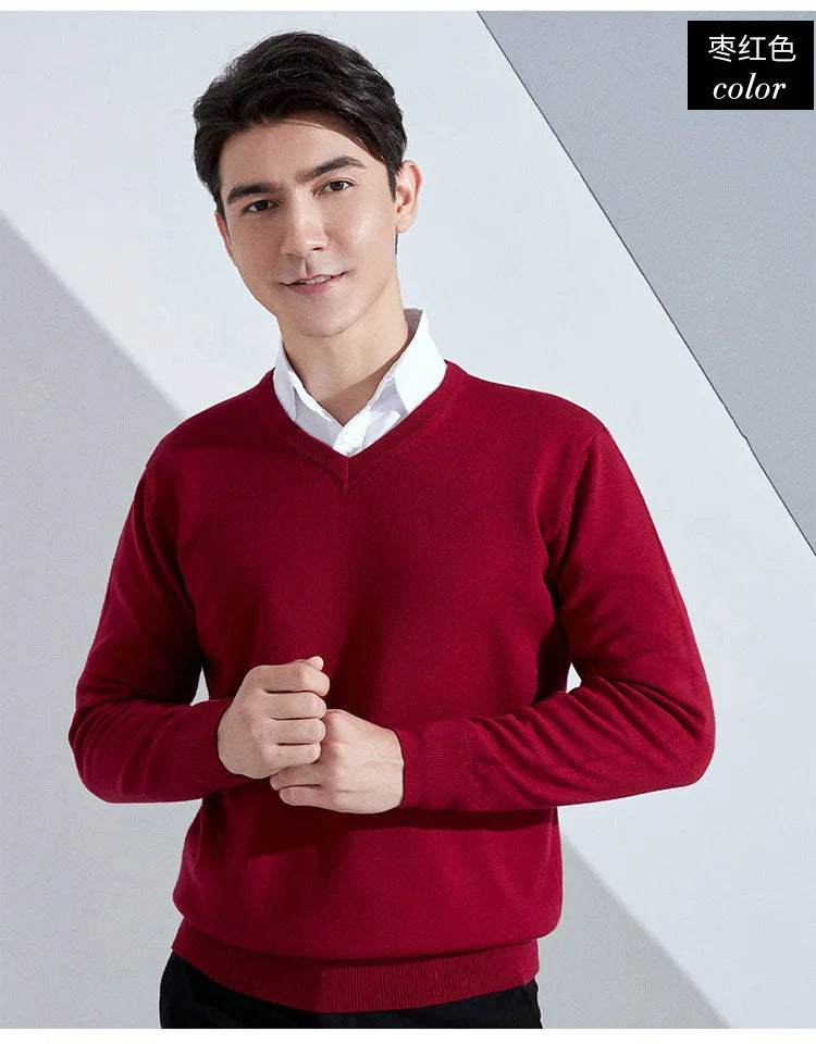Buzo de punto con cuello en V para hombre - Algodón y Cachemira