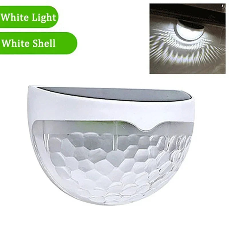 Luces Solares LED Impermeables para Jardín y Patio