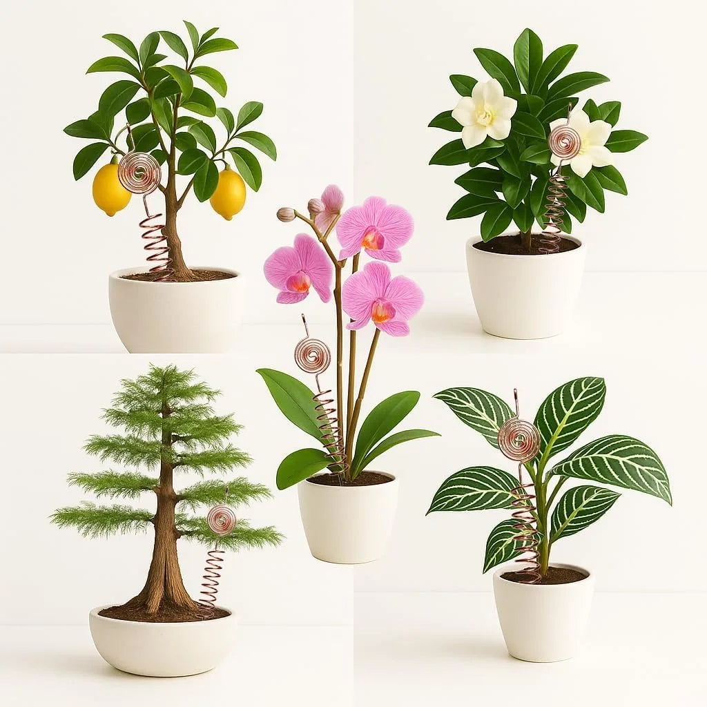 Estacas de Cobre para Soporte de Plantas de Jardín