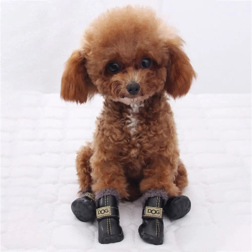 Botas de Invierno para Perros | Impermeables Antideslizantes x4