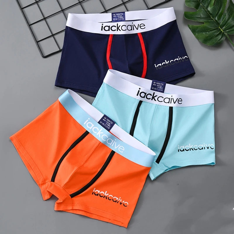 1/3 Uds XL-3XL bragas masculinas ropa interior de algodón para hombres Boxers Boxer transpirable calzoncillos estampados pantalones cortos cómodos ropa interior para hombres