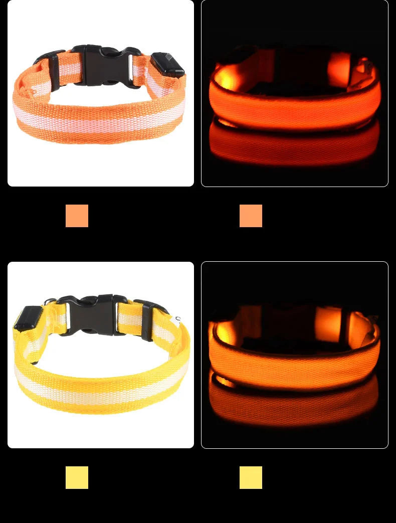 Correa LED para Perros con Luz Nocturna — Nailon Resistente