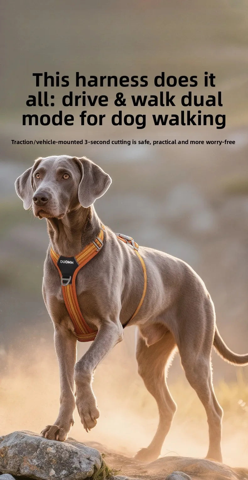 Arnés Antitirones para Perro con Chaleco Reflectante Ajustable