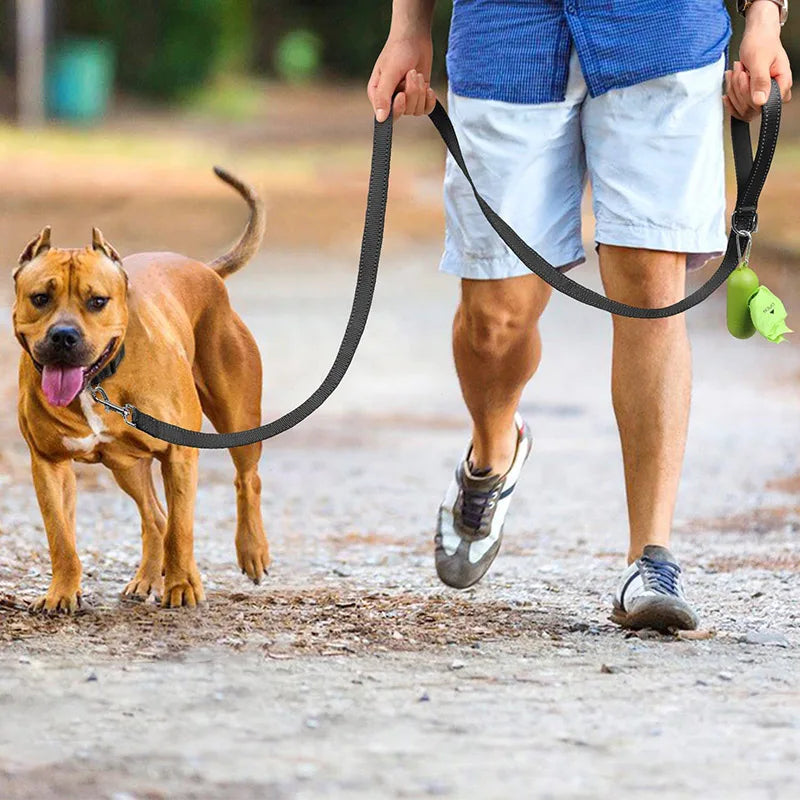 Correa Reflectante para Perros y Gatos con Franja Nocturna
