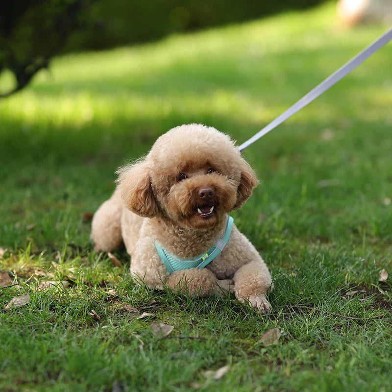 Arnés de Chaleco con Correa para Perros y Gatos - Malla Reflectante