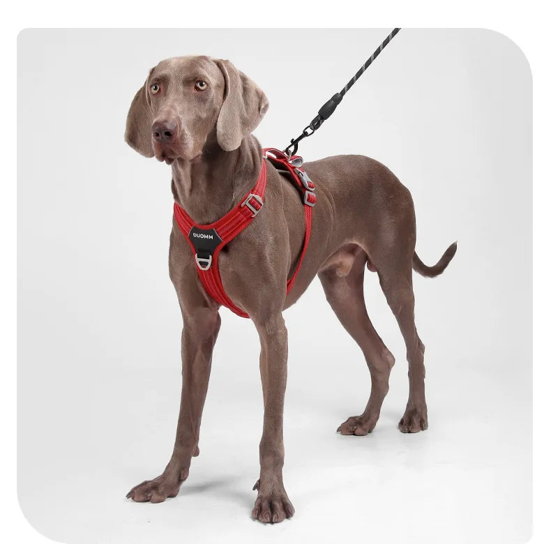 Arnés Antitirones para Perro con Chaleco Reflectante Ajustable