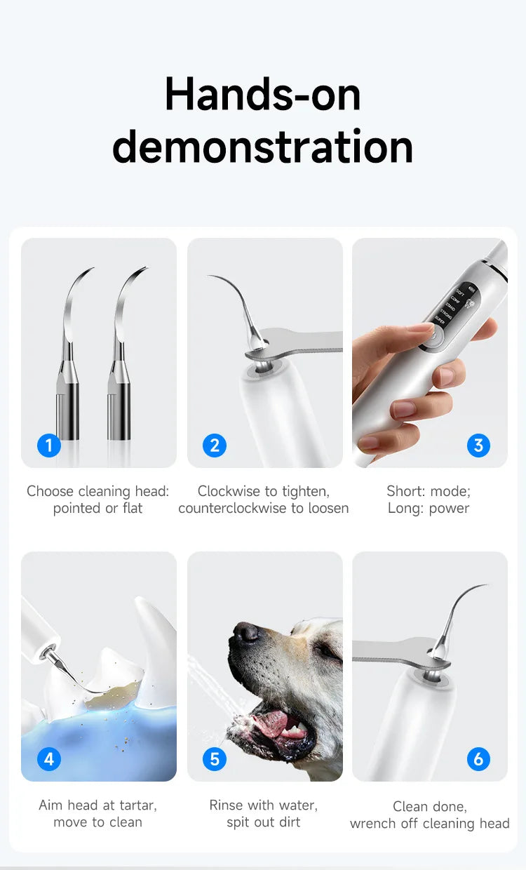 Kit de Limpieza Dental Ultrasónico para Perros