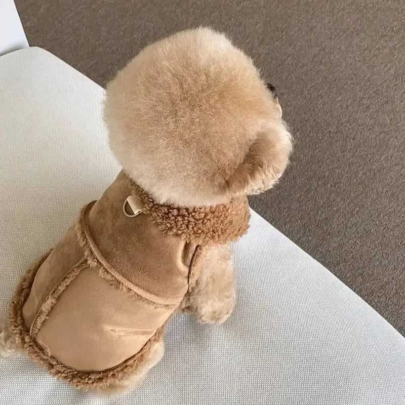 Chaleco de Abrigo para Perro - Ropa de Otoño e Invierno