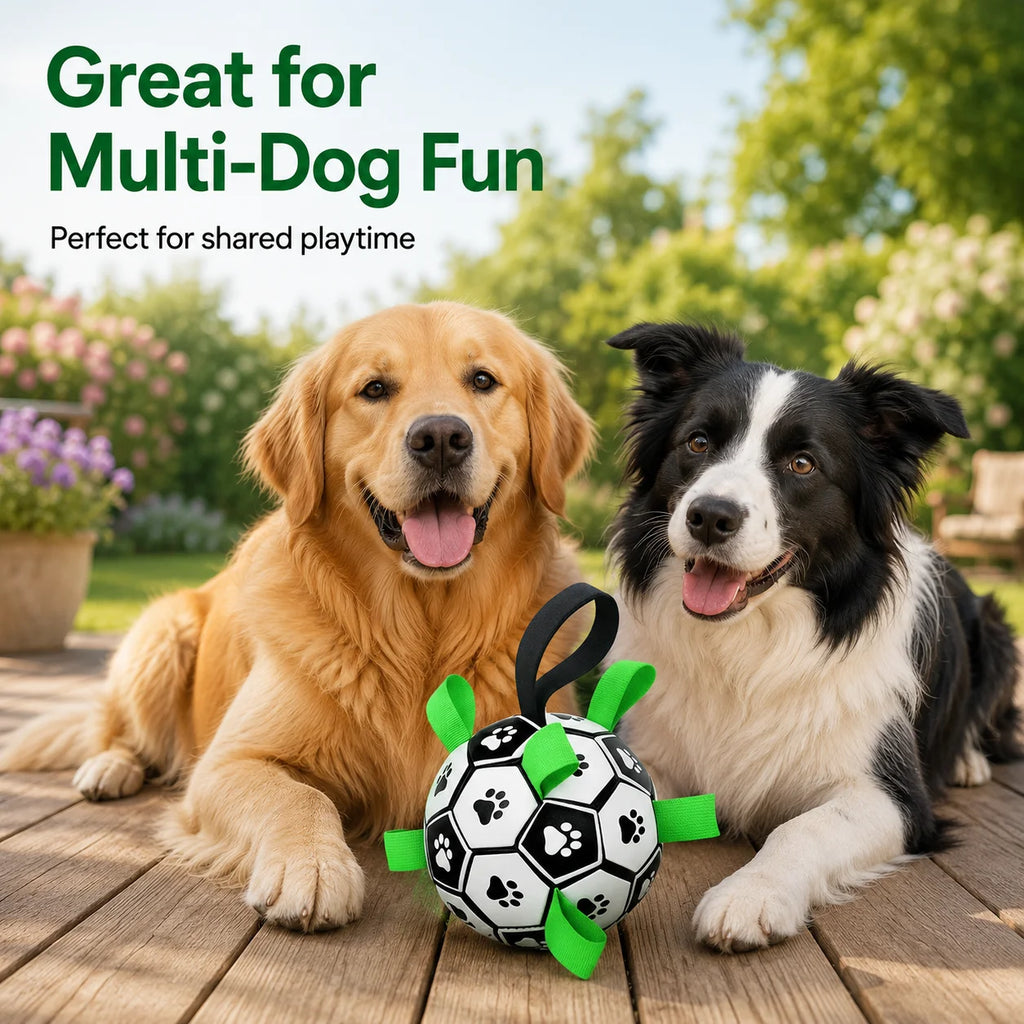 Pelota de Juguete para Perros y Gatos
