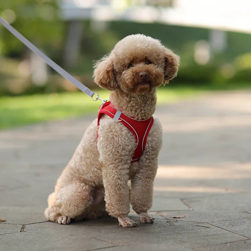 Arnés Chaleco Ajustable para Perros y Gatos con Correa Reflectante