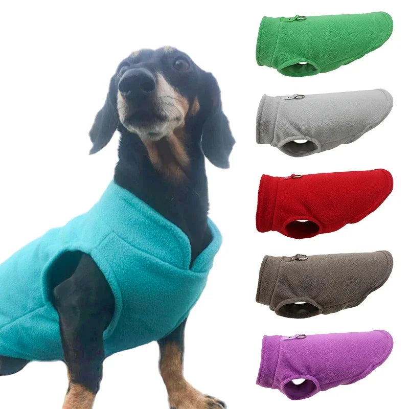 Chaleco de Lana para Perros y Gatos - Abrigo Cálido con Anillo en D