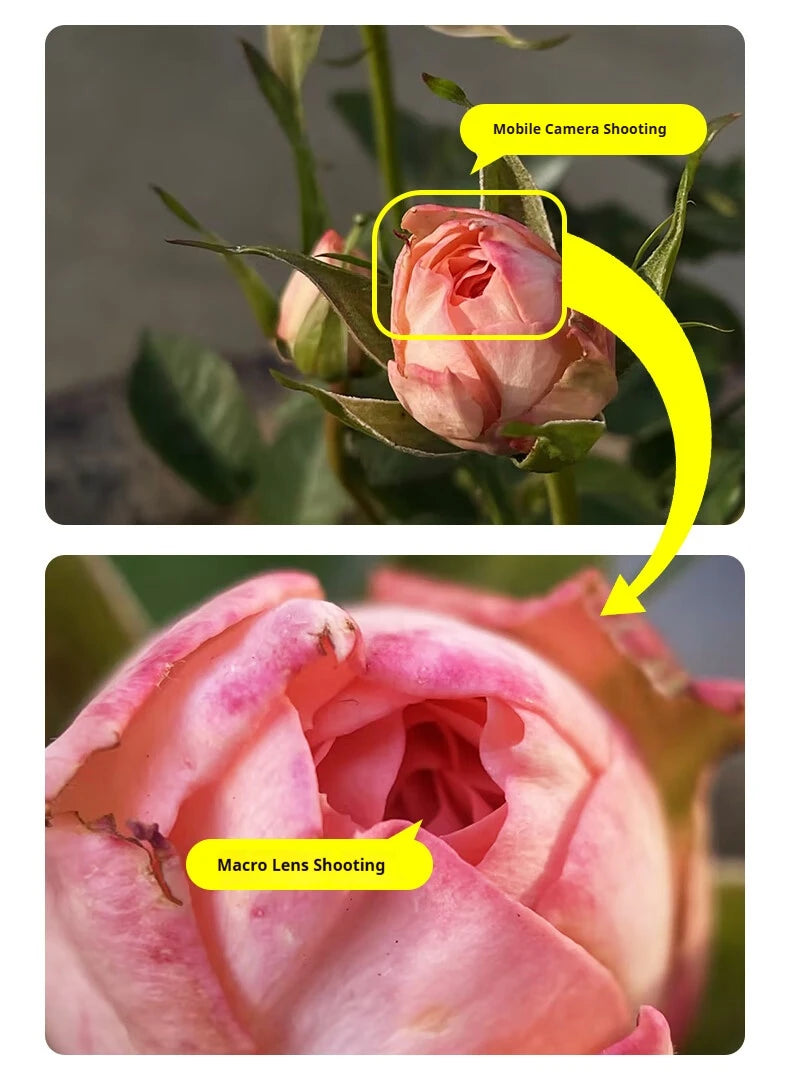 Filtro CPL Kase con Clip para Smartphone y Lente Macro Pro