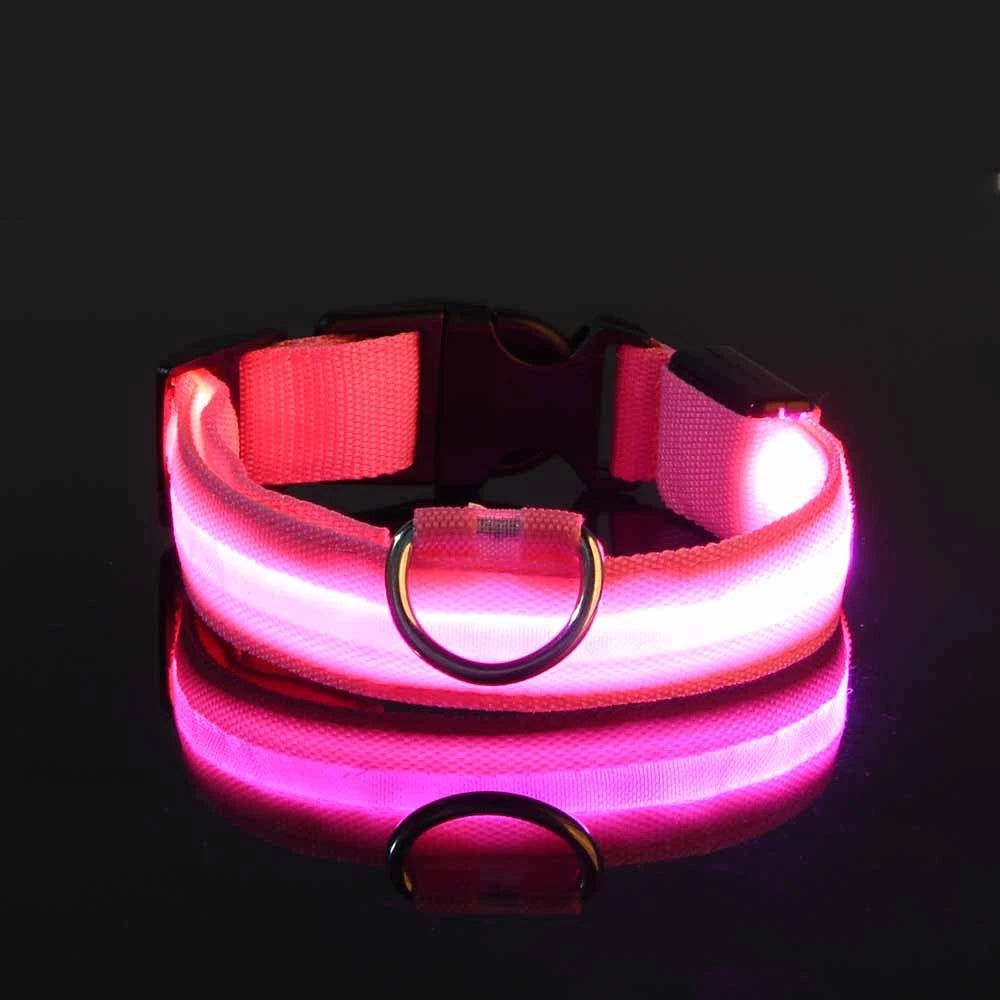 Correa LED para Perros con Luz Nocturna — Nailon Resistente