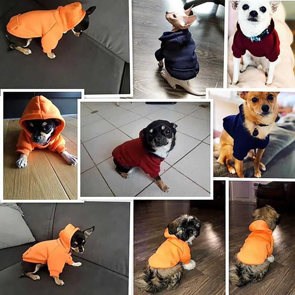 Buzo con Capucha para Perro - Abrigo de Algodón para Mascotas