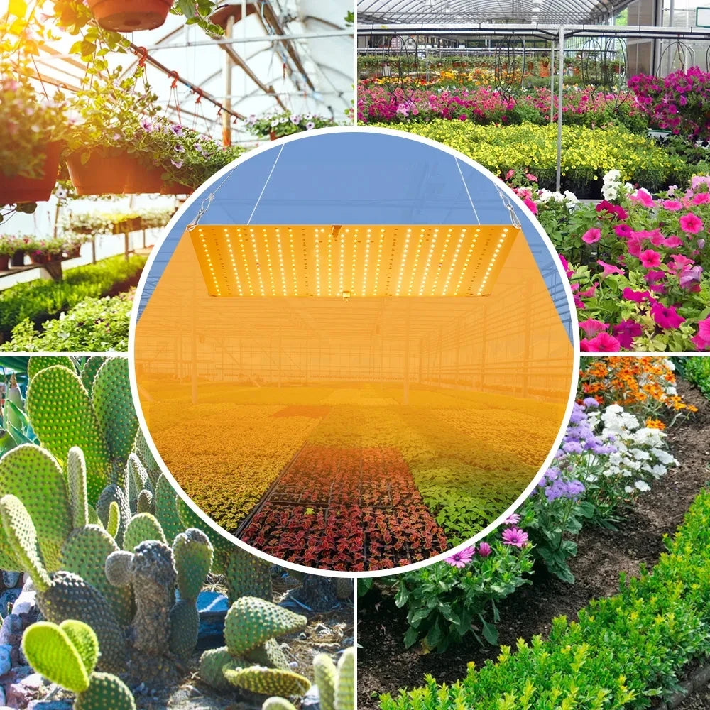 Lámpara LED de Cultivo Phyto para Plantas 3500W