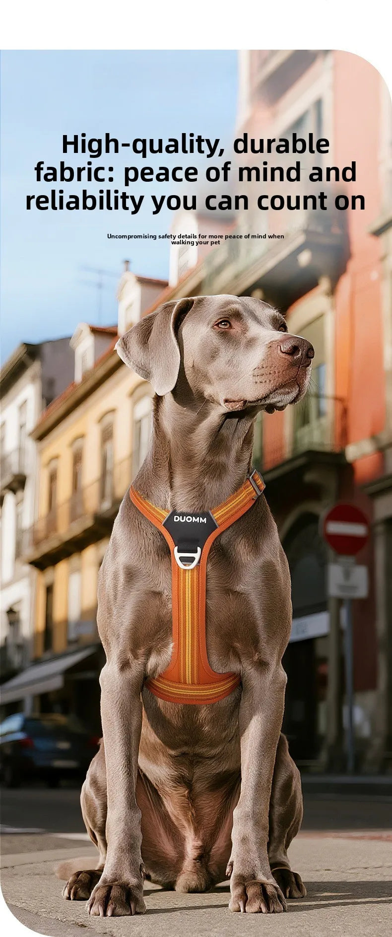 Arnés Antitirones para Perro con Chaleco Reflectante Ajustable