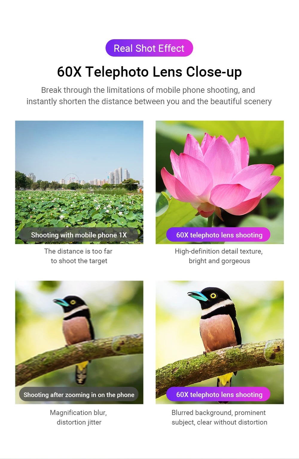 Lente Telefoto Zoom 60X APEXEL HD Metálico para Smartphones