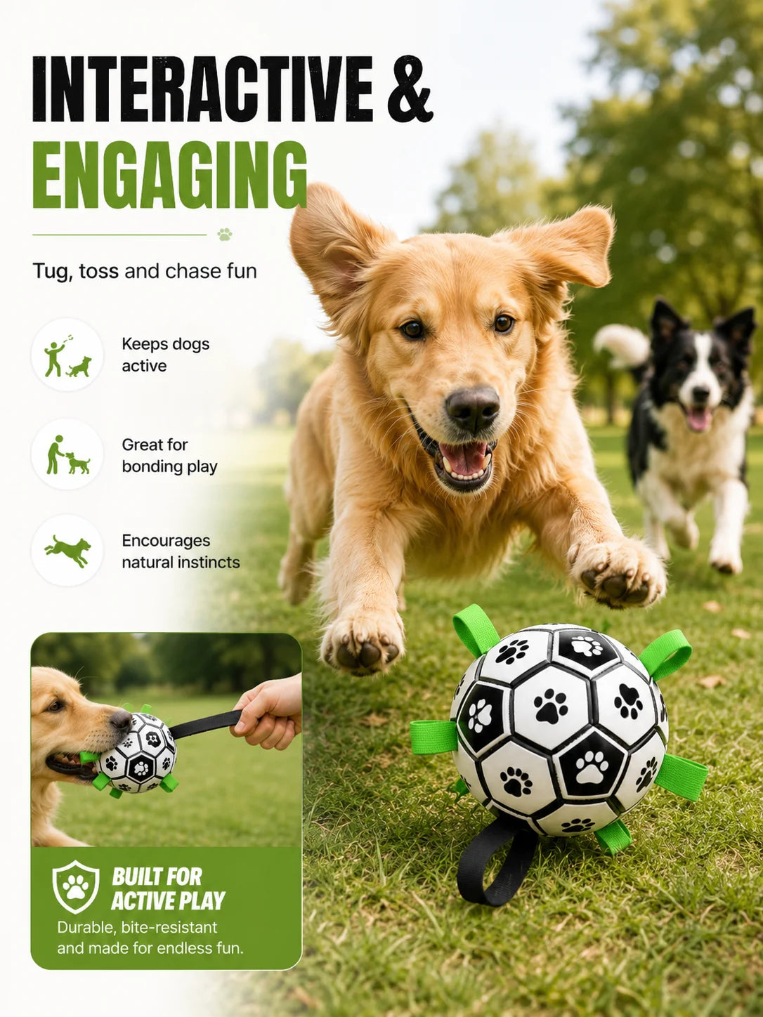 Pelota de Juguete para Perros y Gatos
