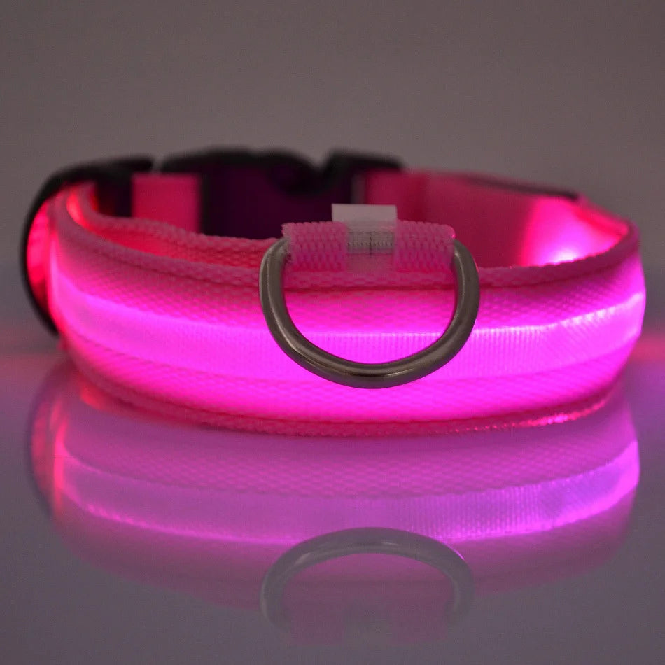Correa LED para Perros con Luz Nocturna — Nailon Resistente