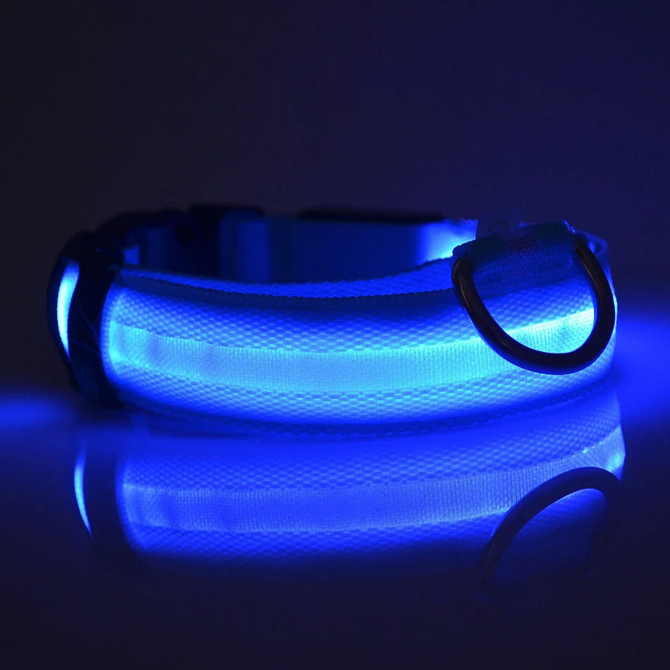 Correa LED para Perros con Luz Nocturna — Nailon Resistente