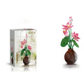 Set de Bloques de Construcción MOC 3044 Loto, Adorno Floral Artístico Creativo, Juguete Educativo de Ensamblaje, Regalo de Cumpleaños para Niñas