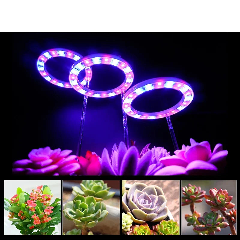 Anillo de Ángel LED para cultivo de luz, fitoamplificador USB de 5V CC para plantas, lámparas de espectro completo para plantas de interior, plántulas de invernadero, flores para el hogar