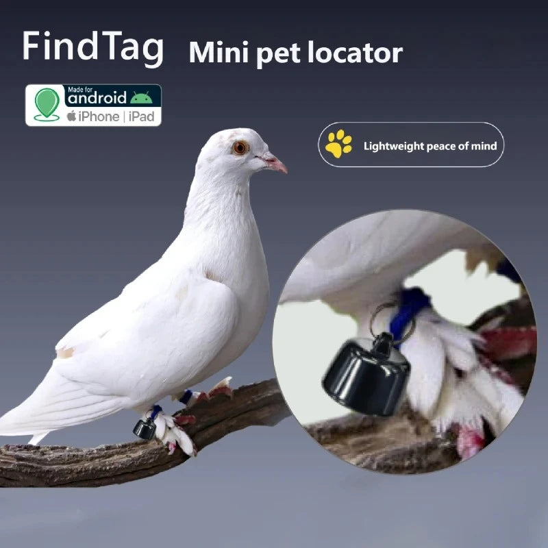 Mini Rastreador GPS para Mascotas, Localizador Global Compatible con Sistemas Android e iOS para Pájaros, Perros y Gatos, Visualiza el Movimiento de los Últimos 3 Días