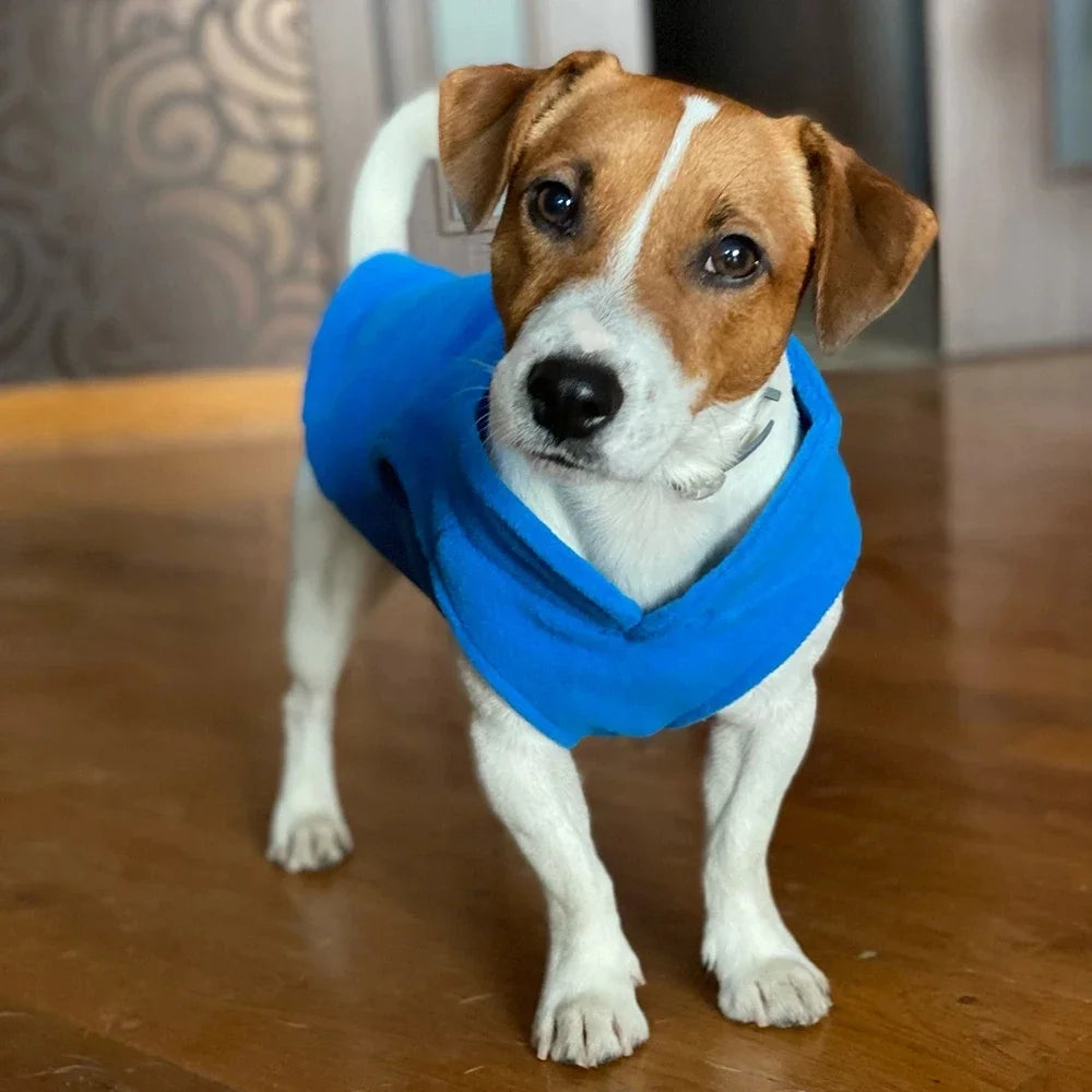 Chaleco de Lana para Perros y Gatos - Abrigo Cálido con Anillo en D
