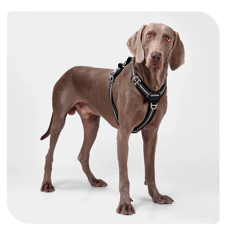 Arnés Antitirones para Perro con Chaleco Reflectante Ajustable
