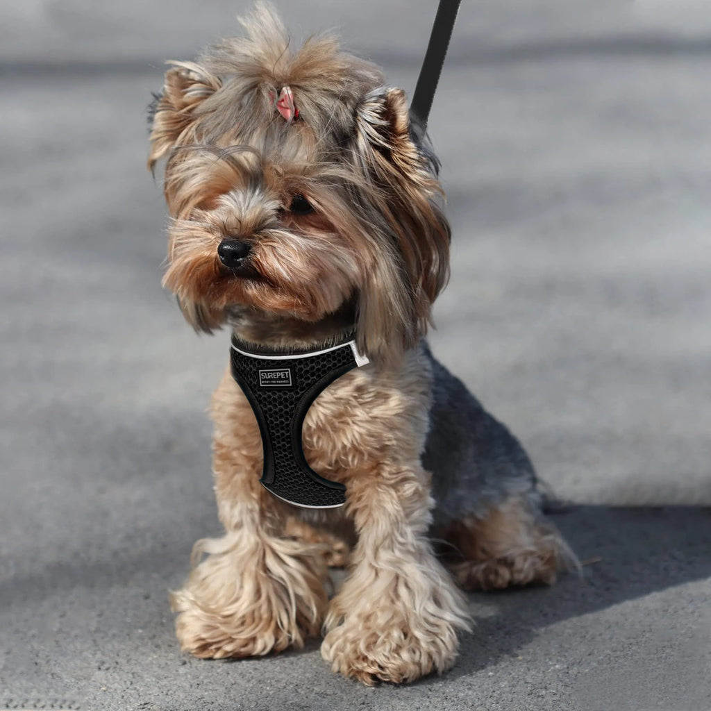 Arnés para perros y gatos con correa de plomo, chaleco ajustable, arneses transpirables de malla de poliéster, sti reflectante para accesorios para perros pequeños y gatos