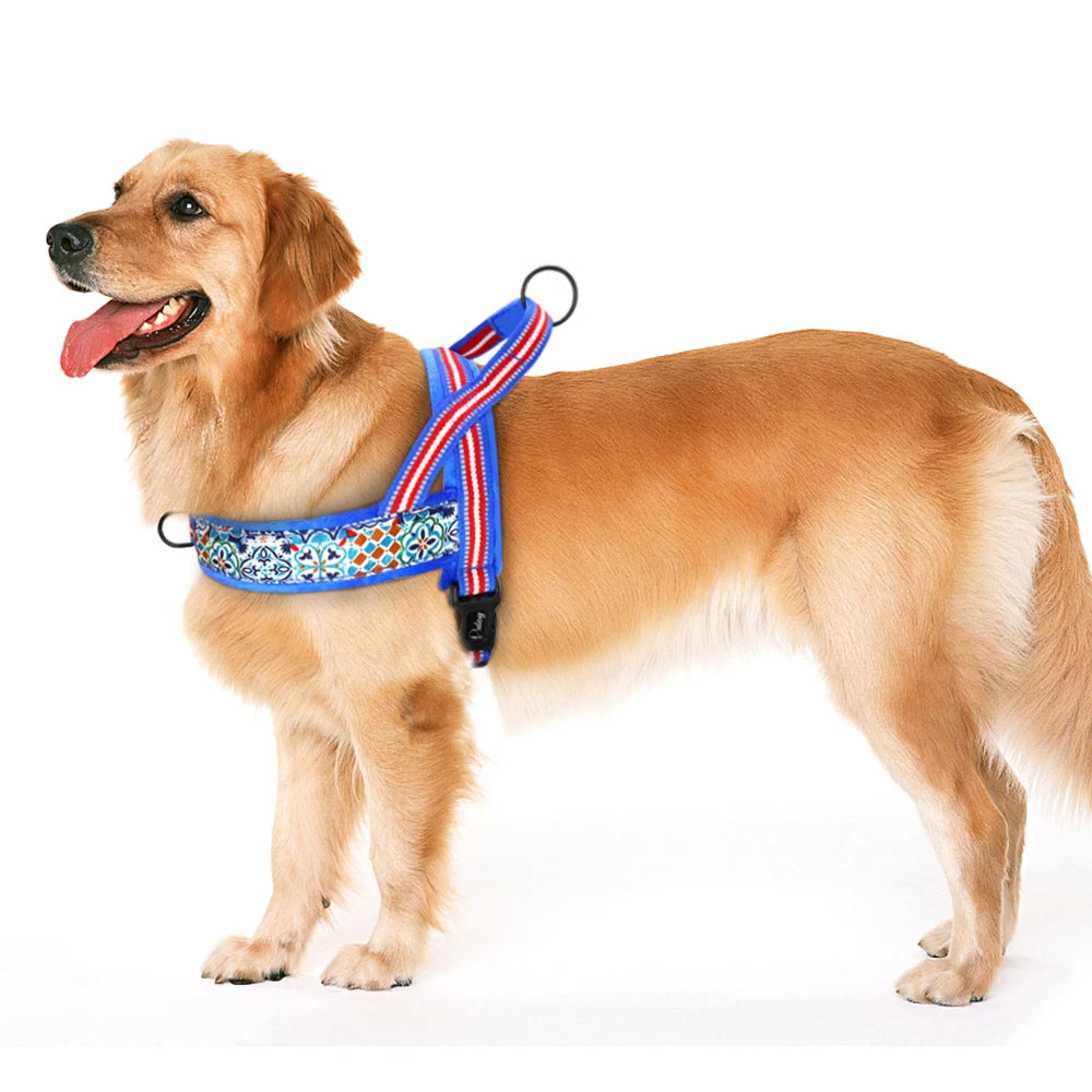 Chaleco Arnés Térmico para Perros – Acolchado y Ajustable
