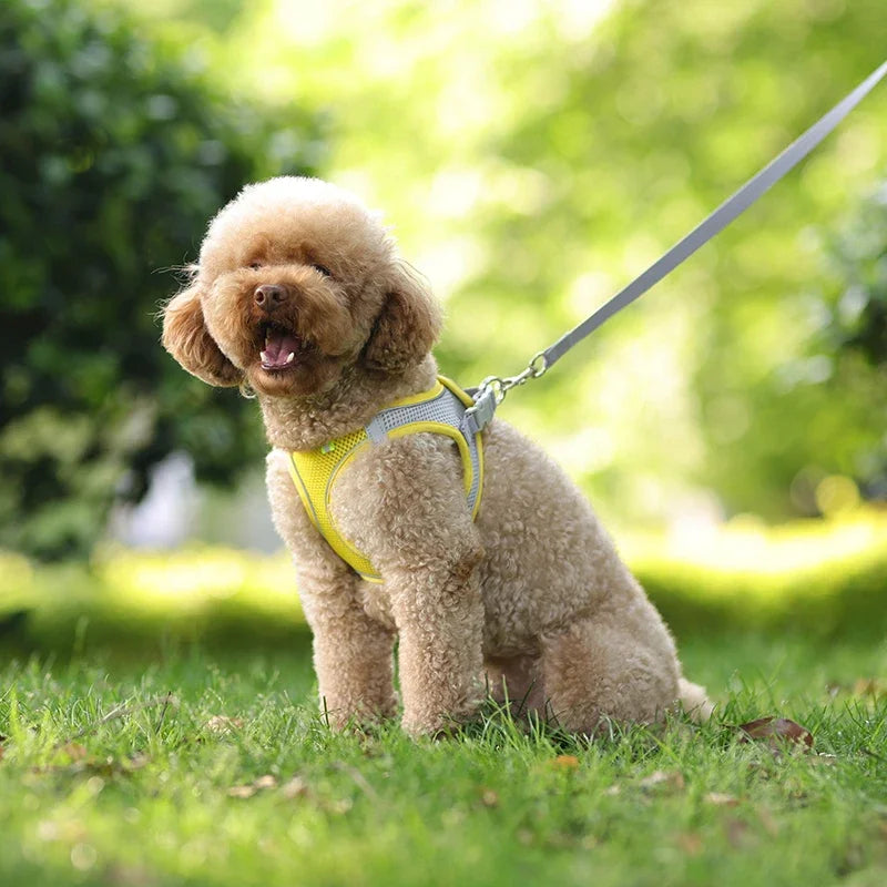 Arnés Chaleco Ajustable para Perros y Gatos con Correa Reflectante