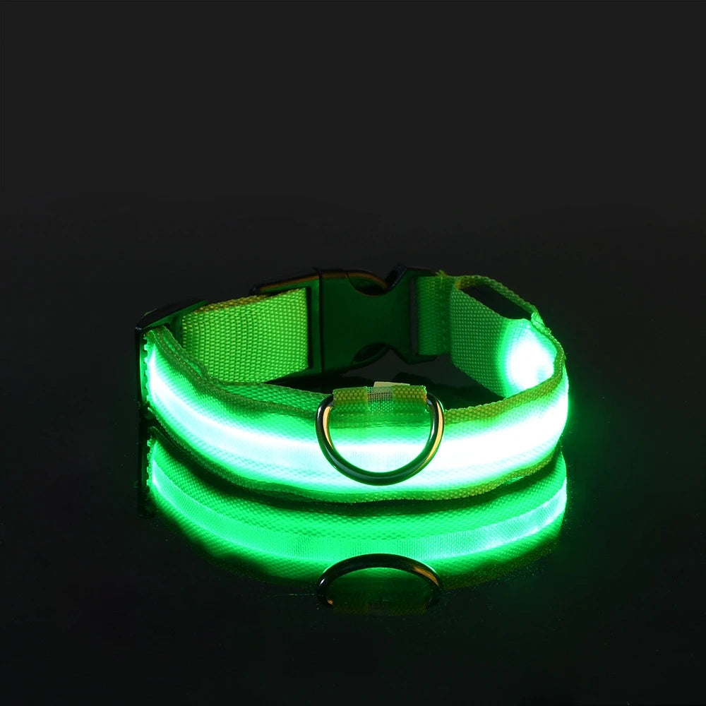 Correa LED para Perros con Luz Nocturna — Nailon Resistente