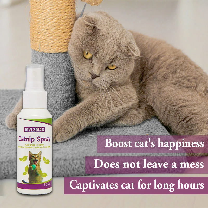 Spray de hierba gatera para gatos, spray para rascar gatos para aumentar el juego, calma el estrés y rinovar juguetes, spray de comportamiento transparente para gatos y gatitos, 60 ml