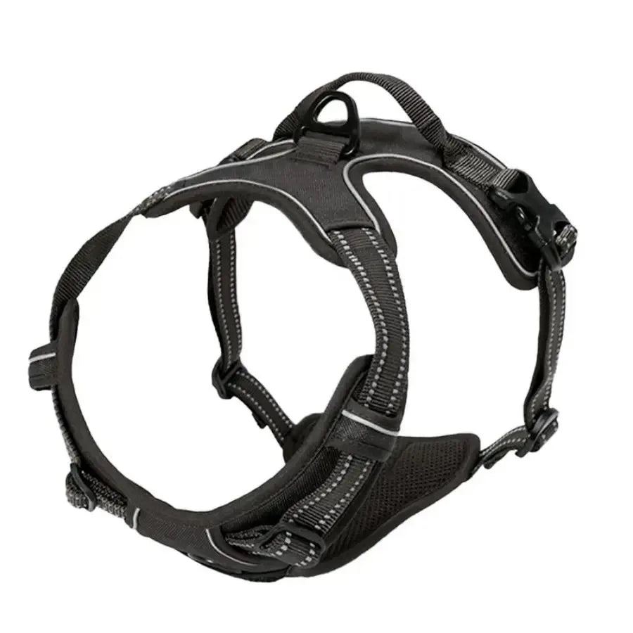 Arnés Chaleco para Perros con Correa | Tallas S a XL